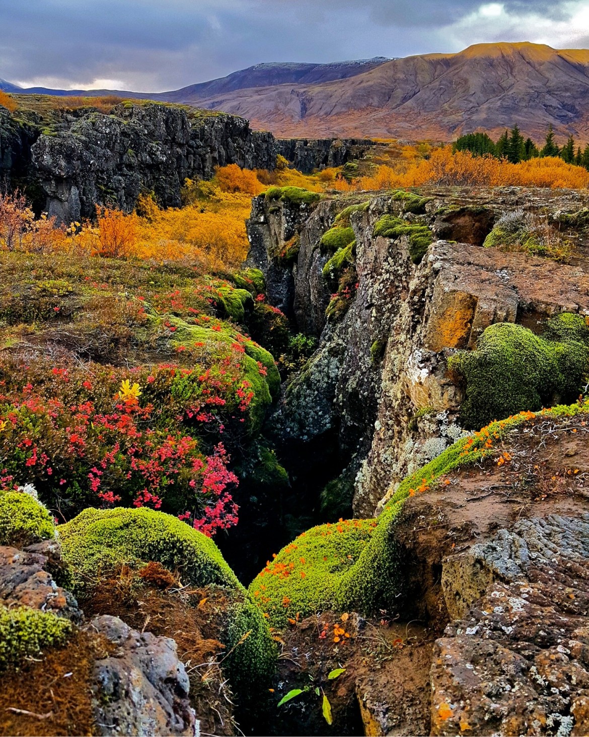 Islande automne Thingvellir