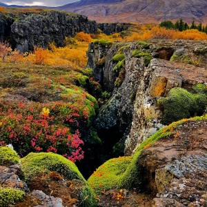 Islande automne Thingvellir