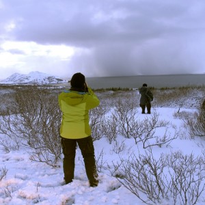 Islande hiver thingvellir