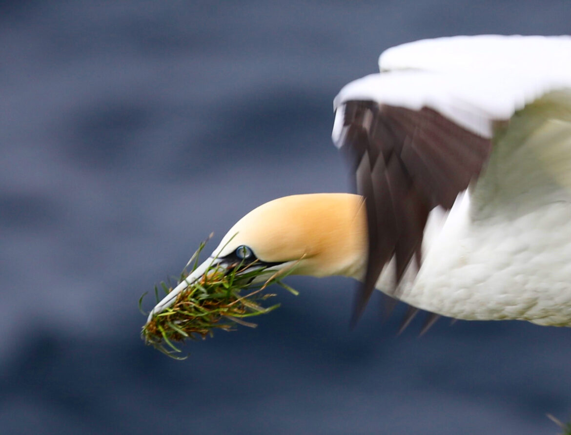 1179F784 8C69 4Ddc A300 0808Be451Eec